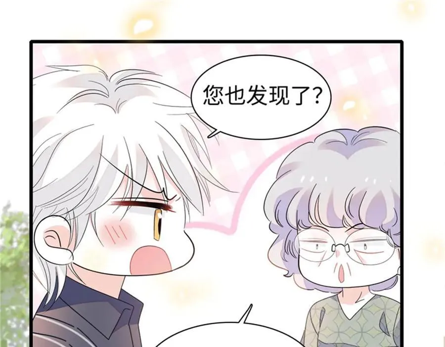 111 茶里茶气的81