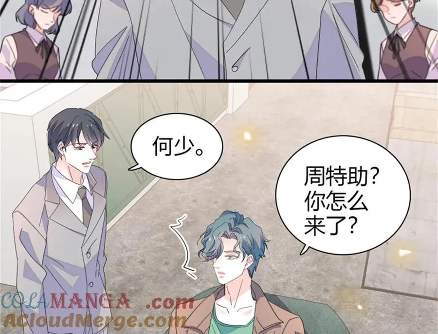 111 茶里茶气的28
