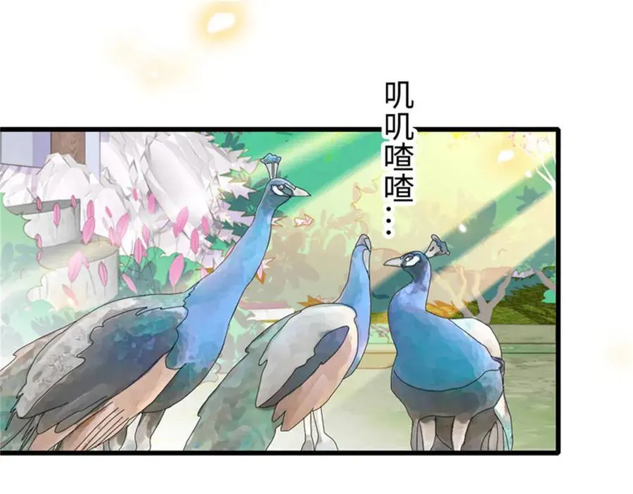 111 茶里茶气的75