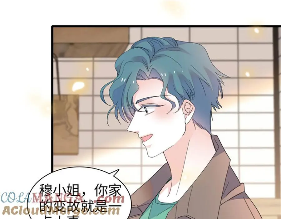 111 茶里茶气的24