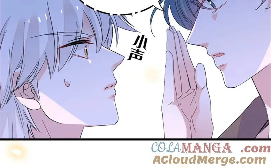 111 茶里茶气的56