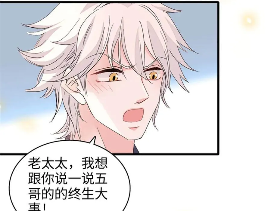 111 茶里茶气的78
