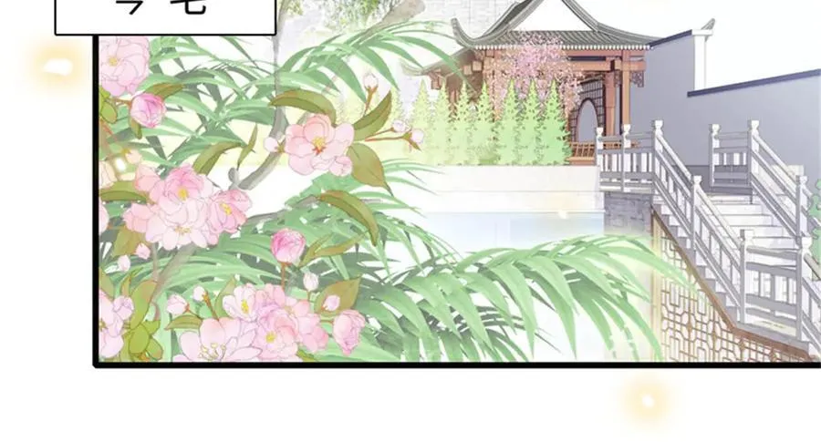 111 茶里茶气的74