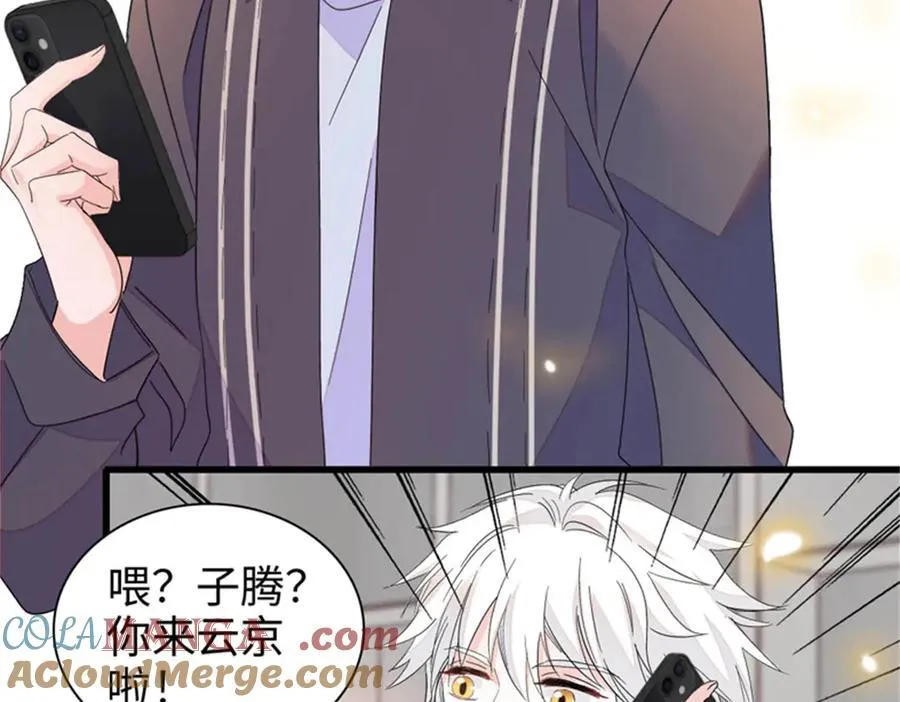 111 茶里茶气的4
