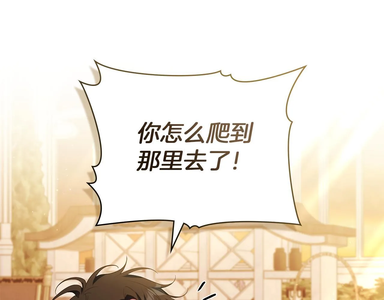 完结话 春天会再来的47