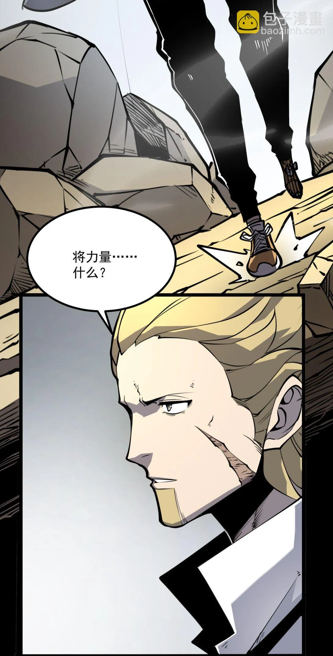 19 将点数全加给力量！29