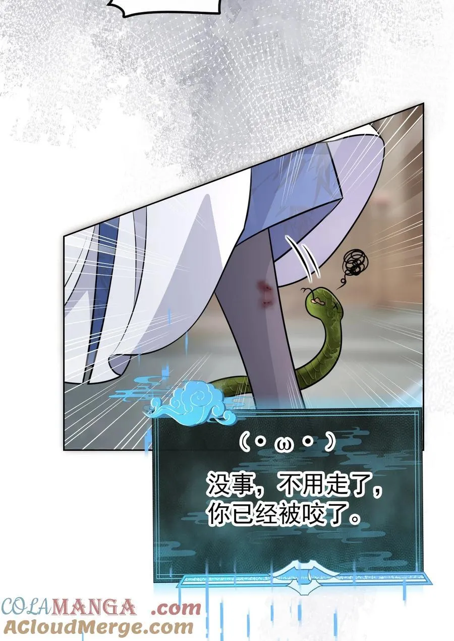 018 花无期6