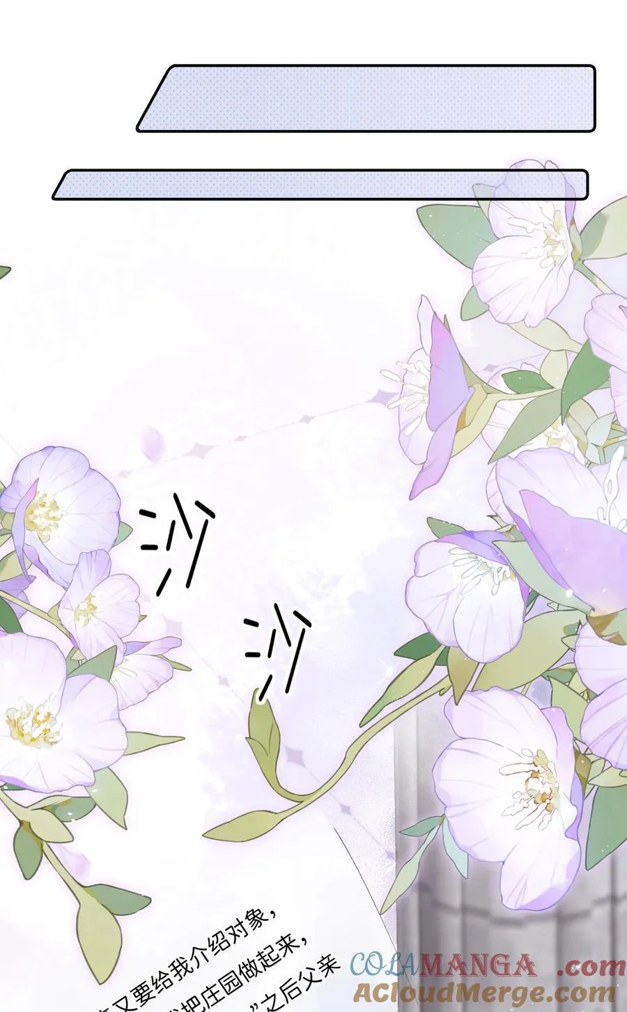 037 生日礼物12