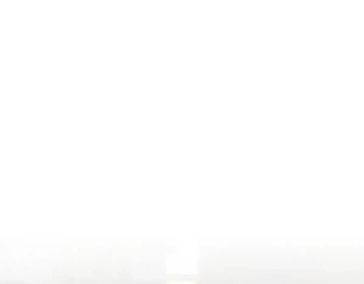 023 我陪你4