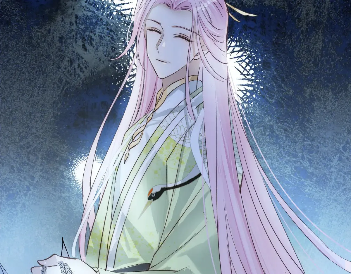 026 顶级绿茶60