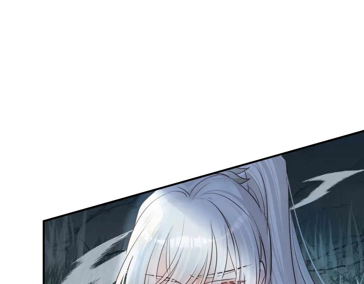 026 顶级绿茶4