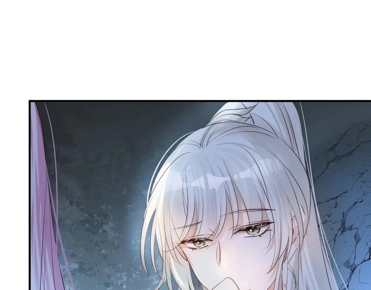 026 顶级绿茶56