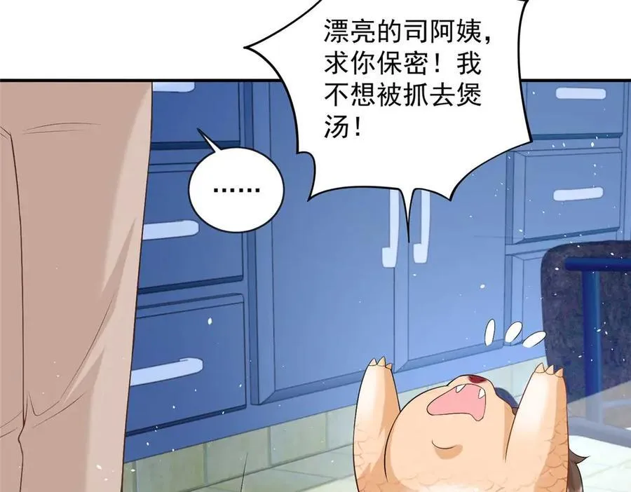113 一胎四宝？！23