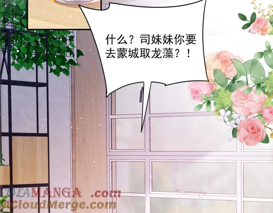 108 蒙城城主4