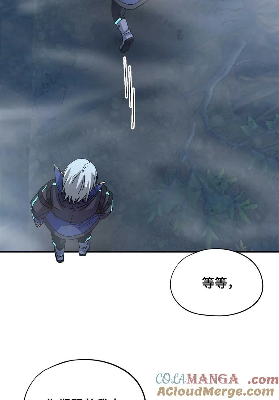 第88片 迷雾山脉60