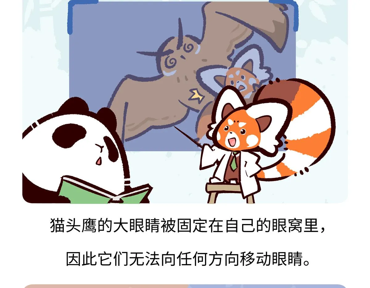 第225话18
