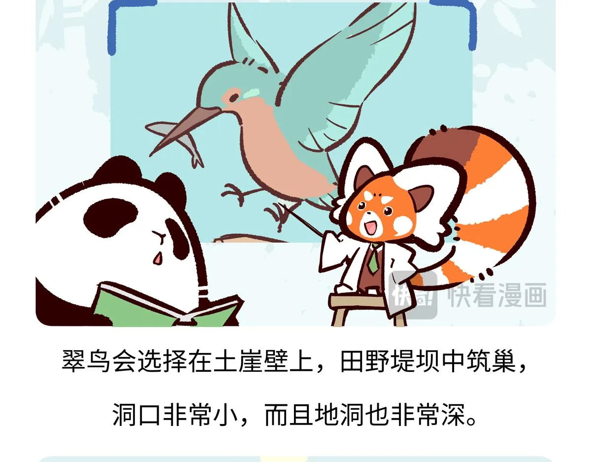 第219话22