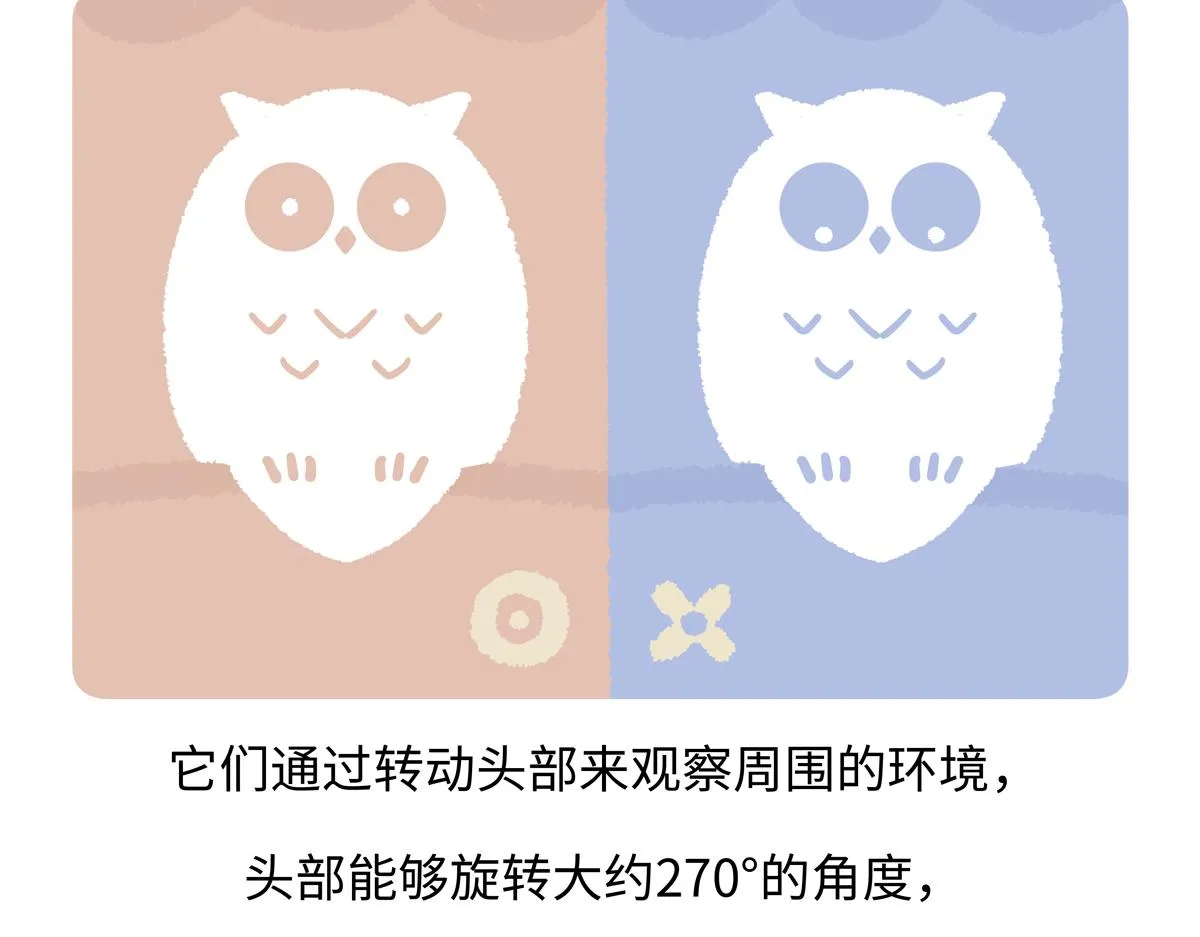 第225话19