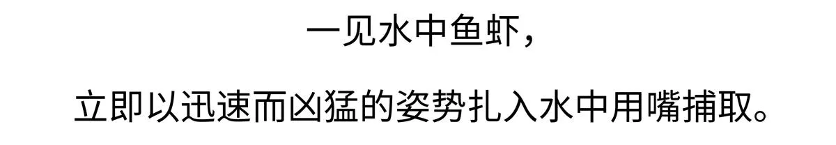 第220话19