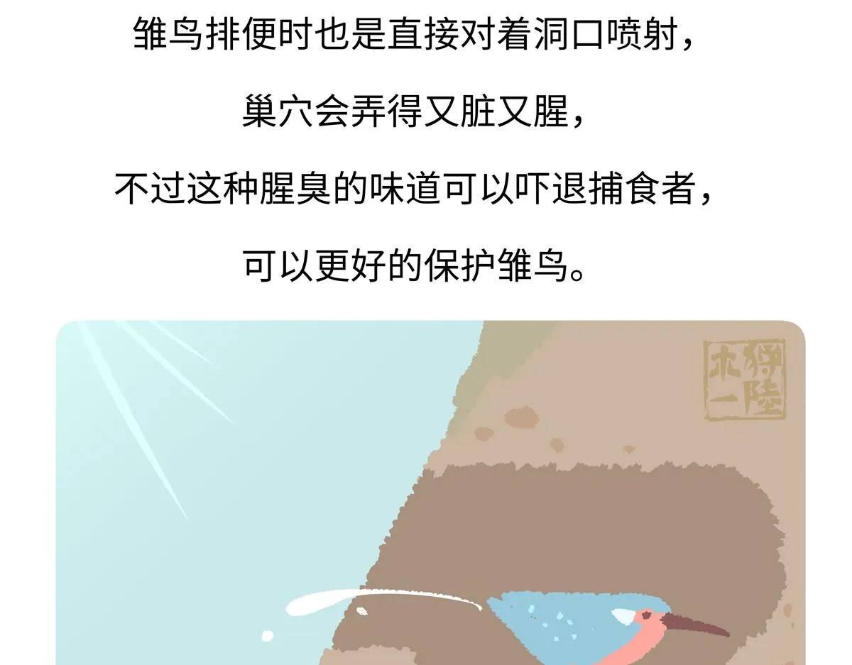 第219话25