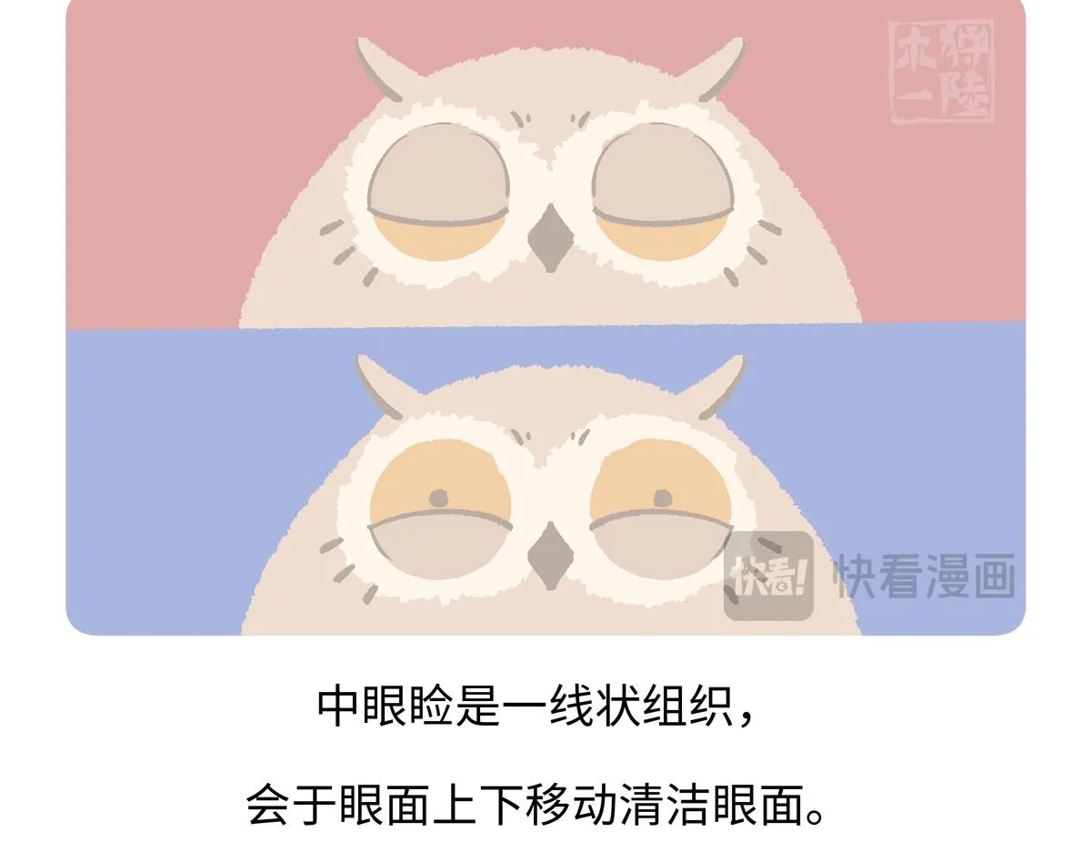 第225话26
