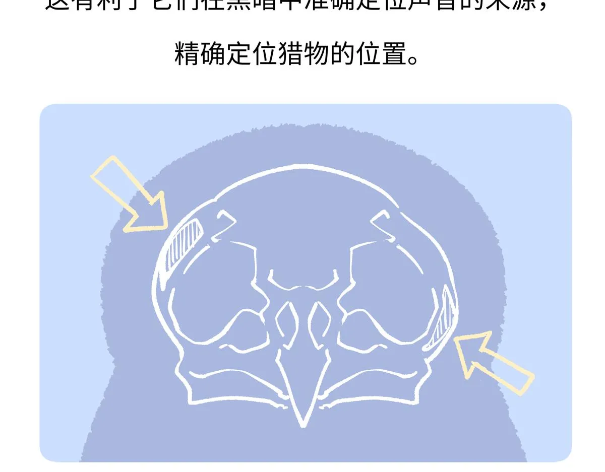 第226话20