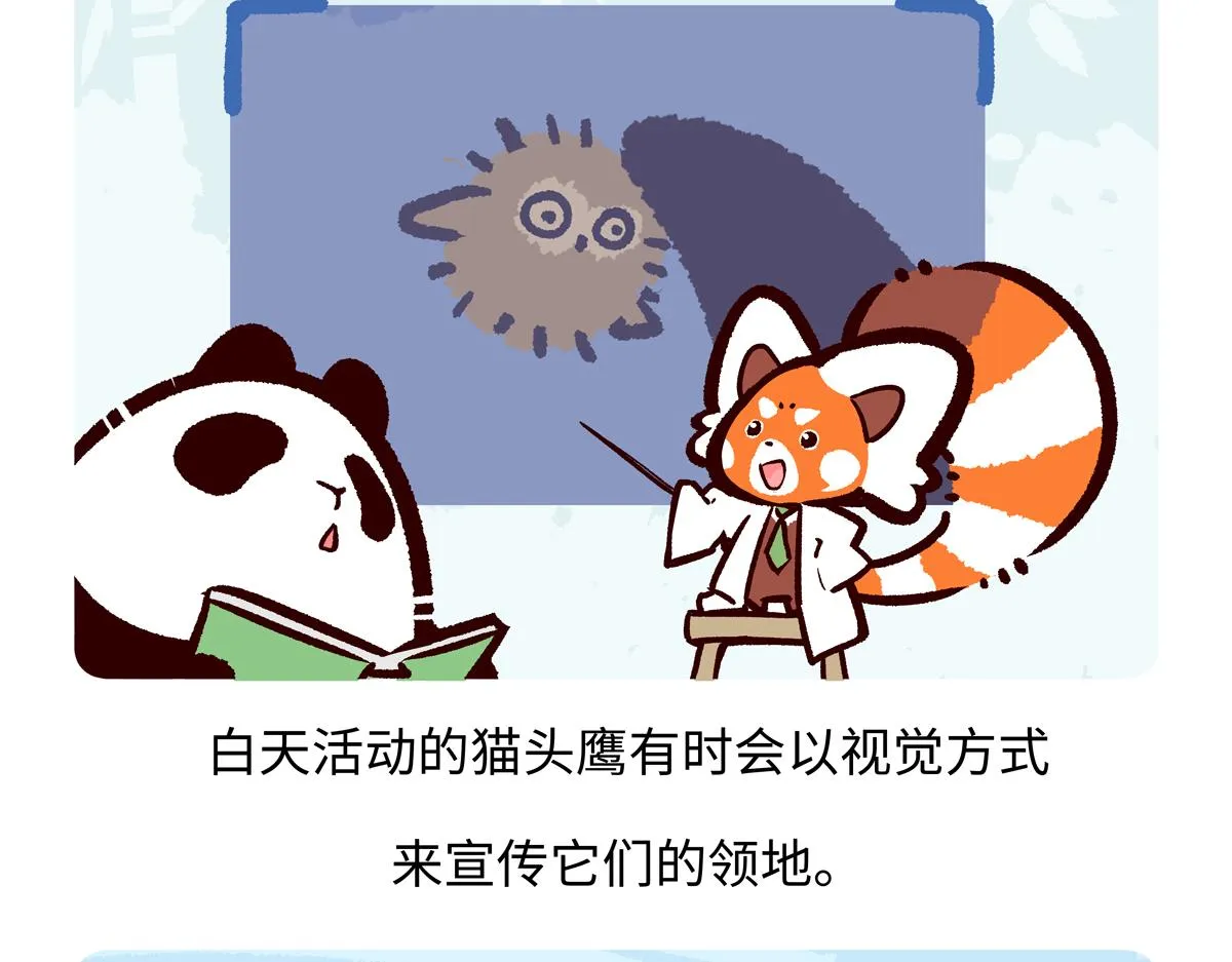 第223话21