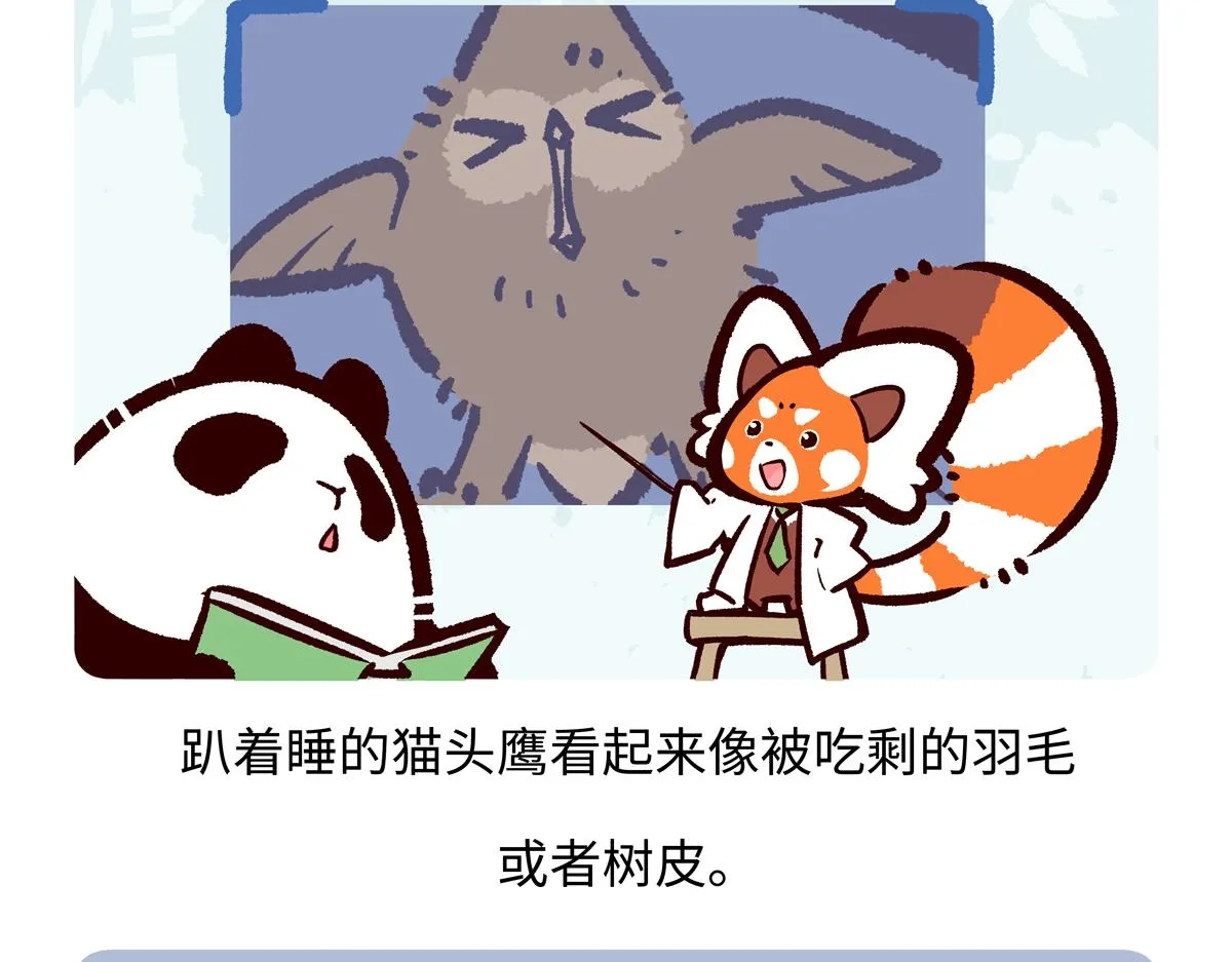 第222话23