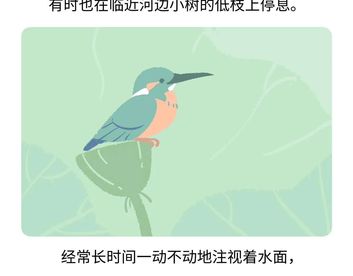 第220话18