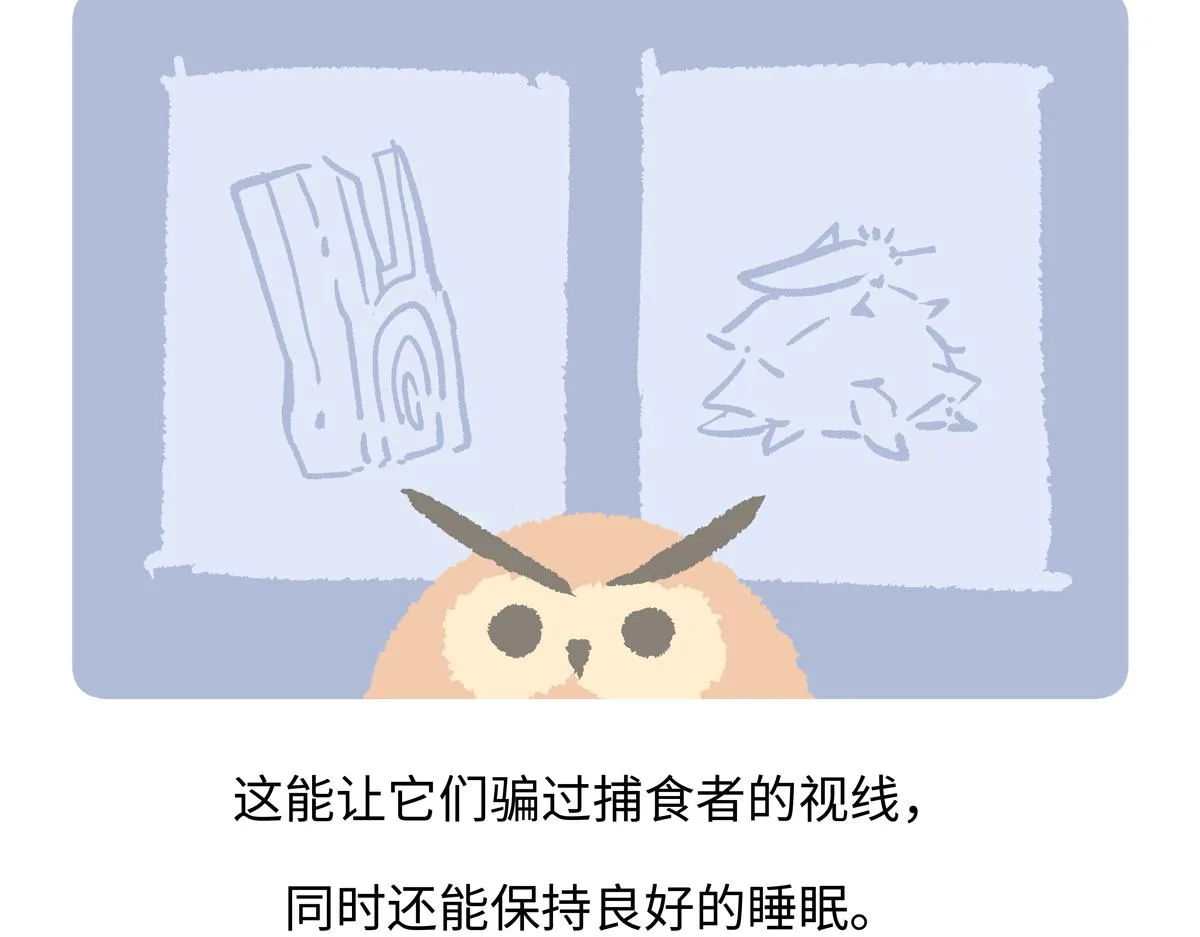 第222话24