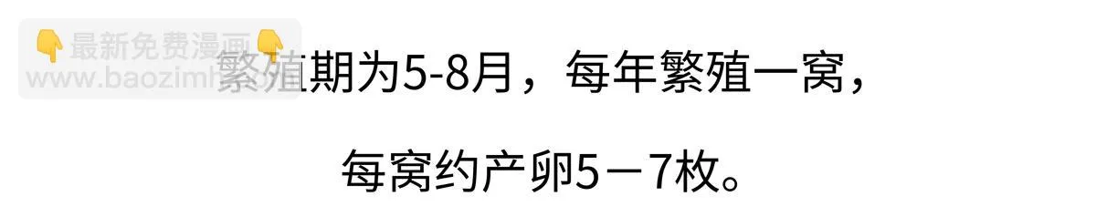第219话18