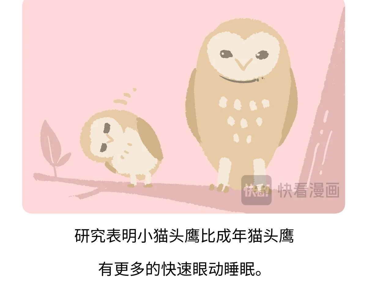 第223话17