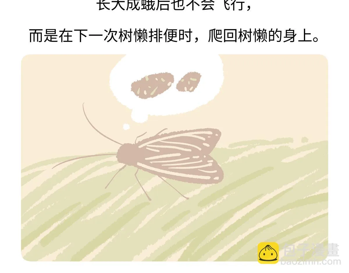 第215话26