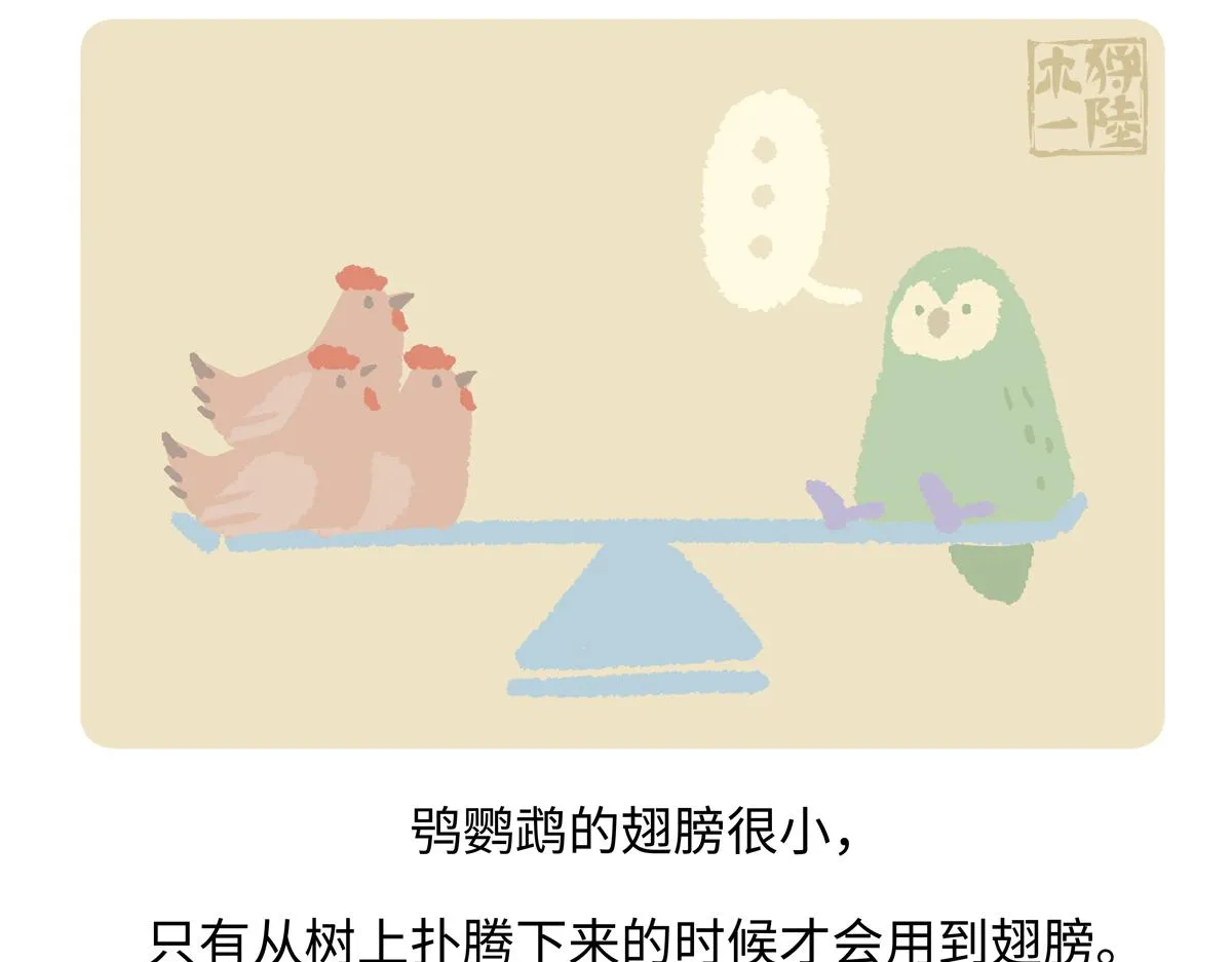 第216话18