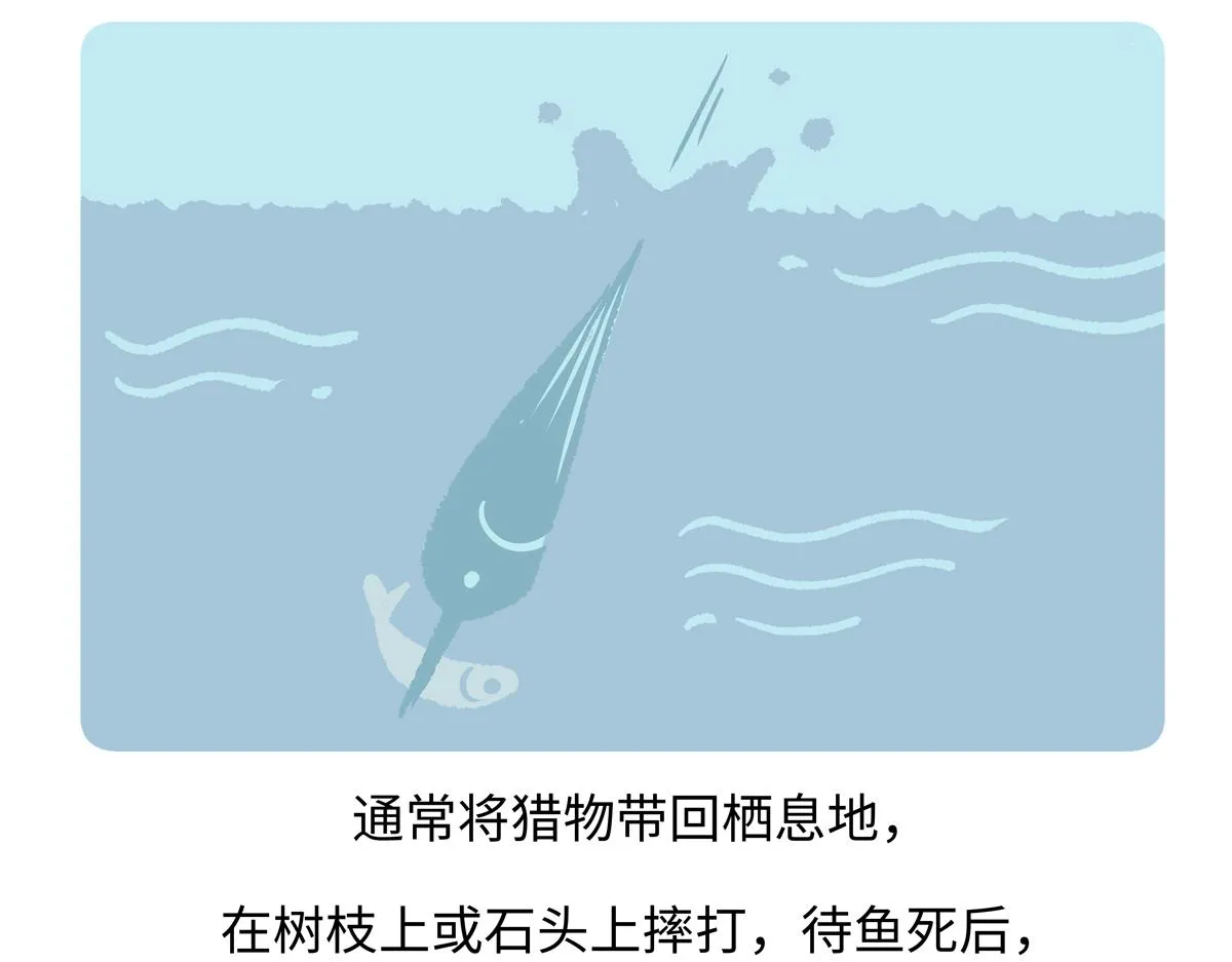 第220话20