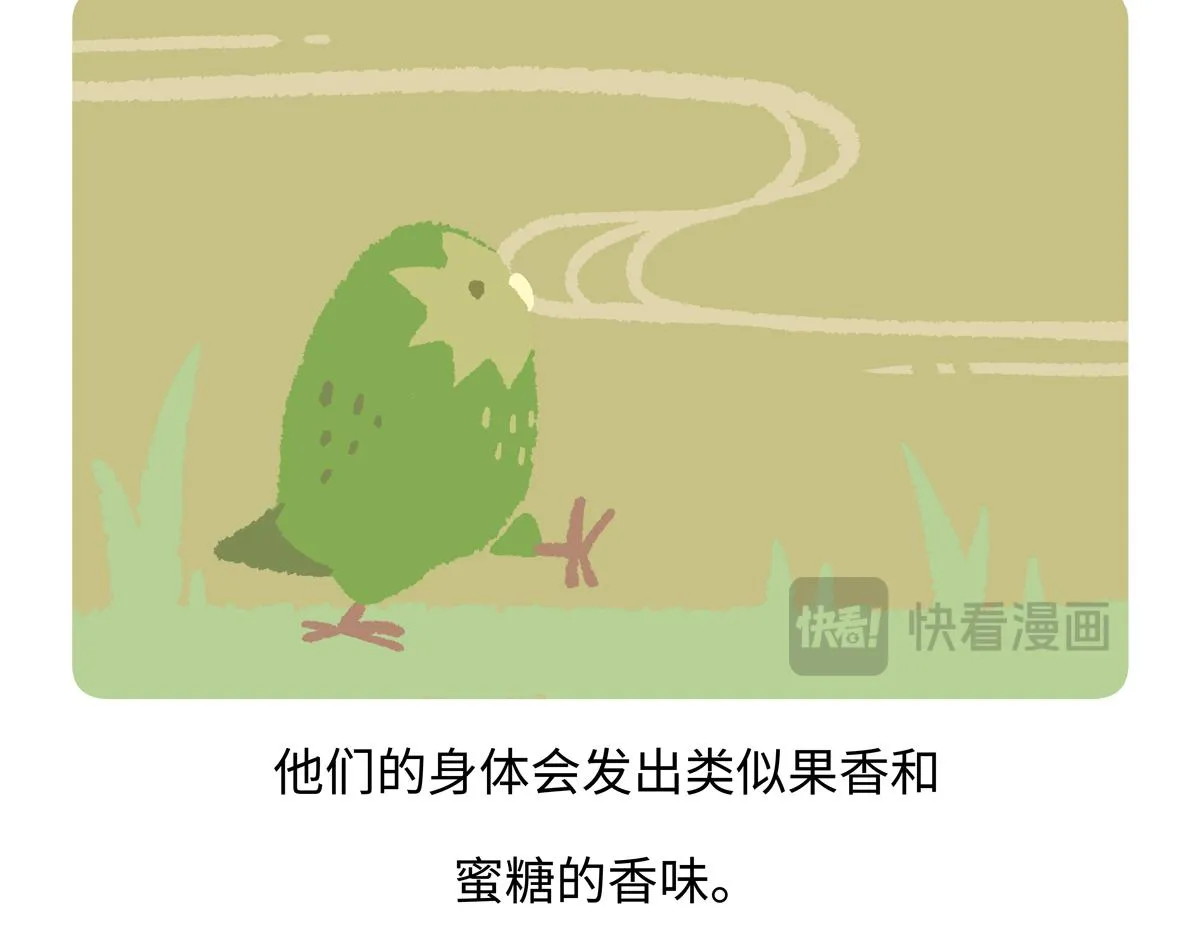 第217话18