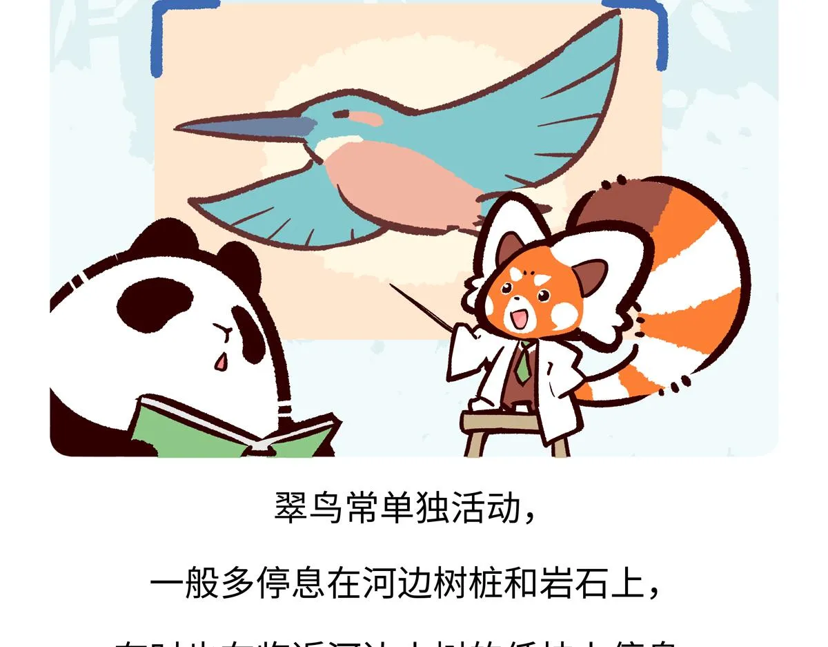 第220话17