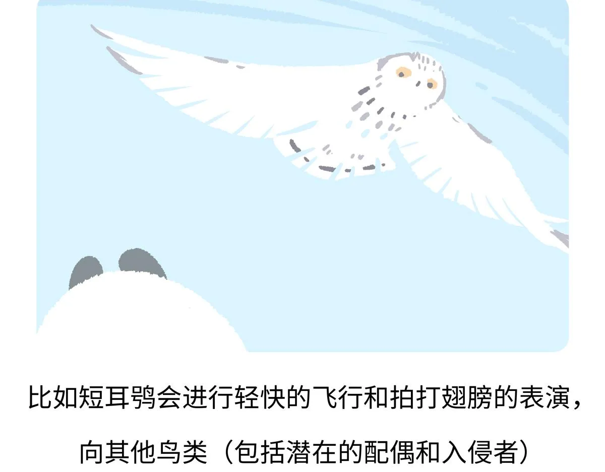 第223话22