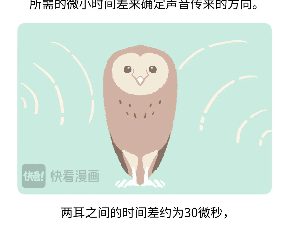 第226话24