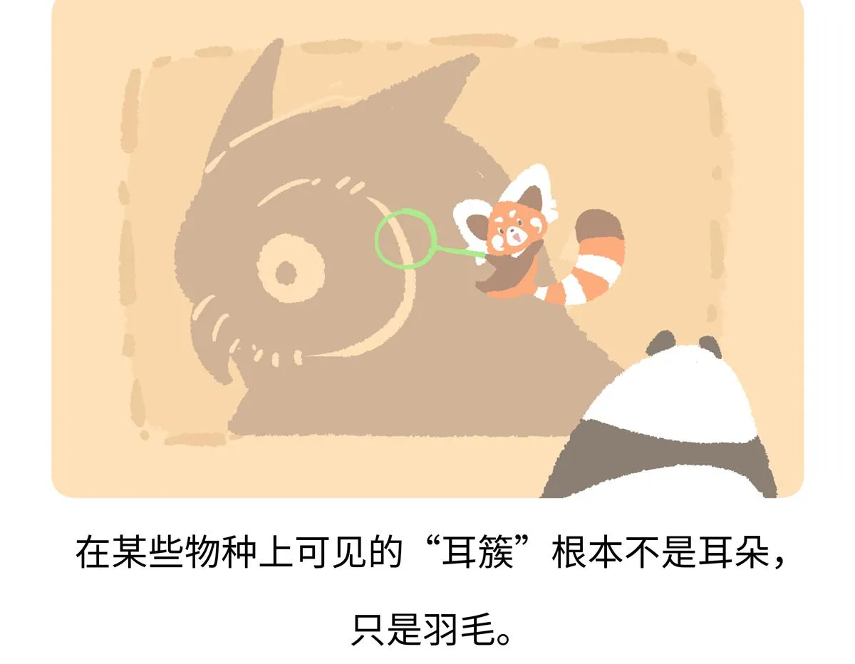 第226话18