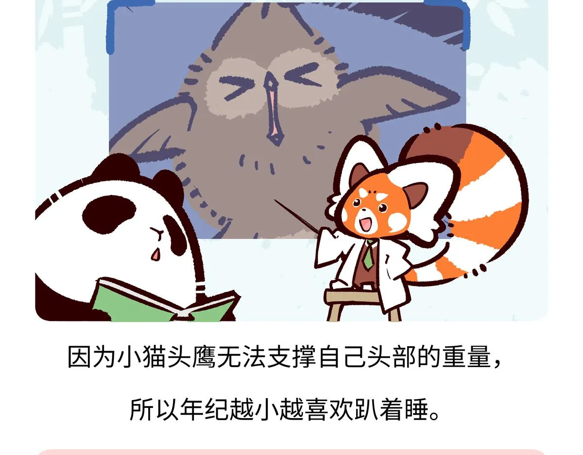 第223话16