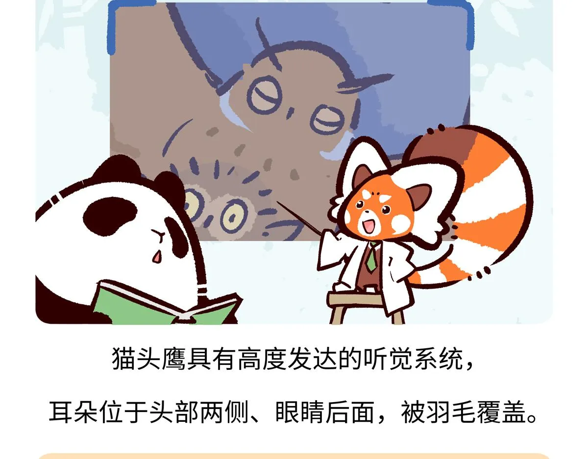 第226话17