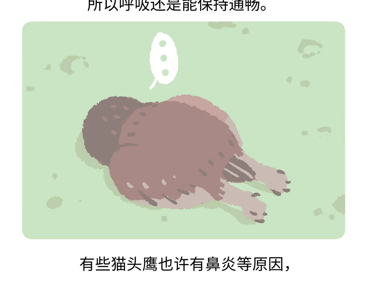 第222话17