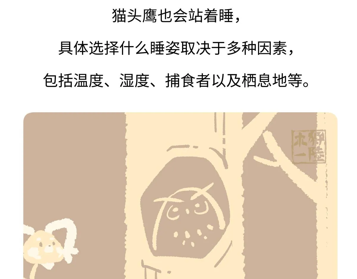第222话26