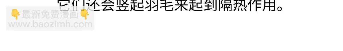 第222话21