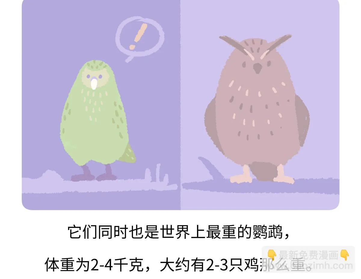 第216话17