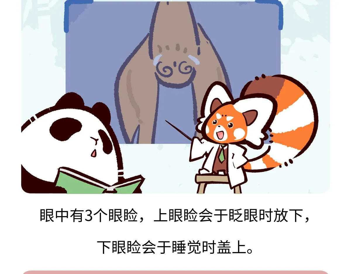 第225话25