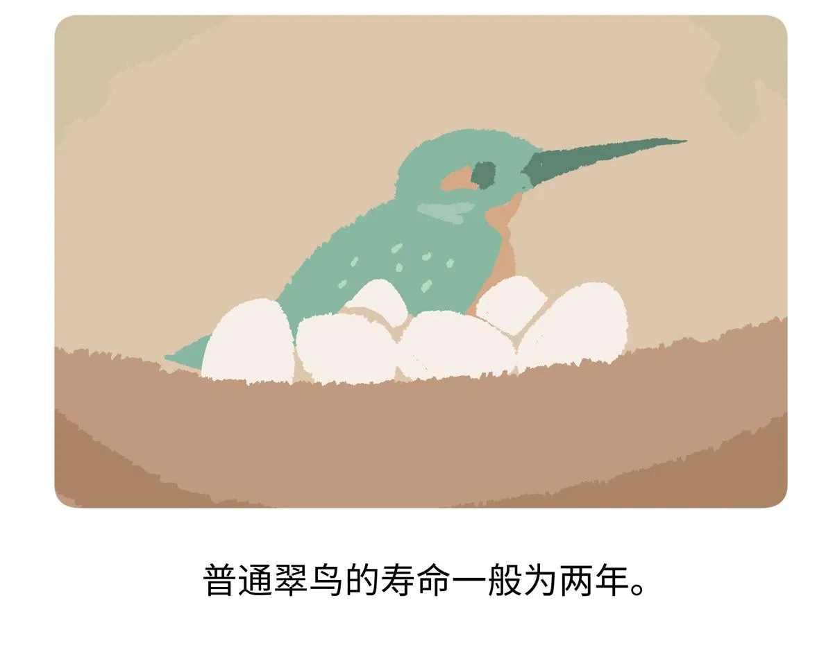 第219话19
