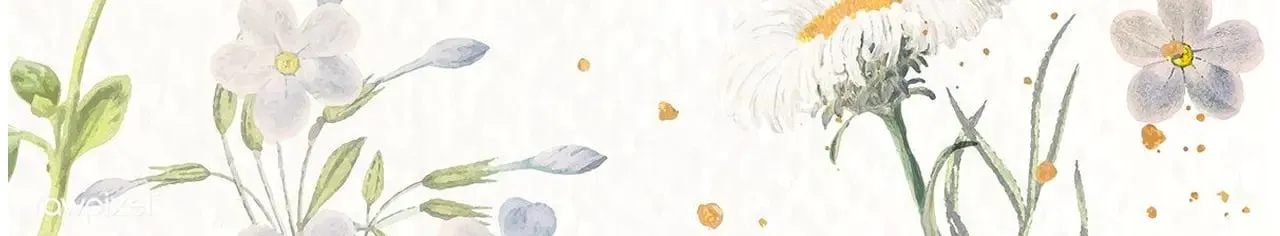 第十六话 喜欢他94