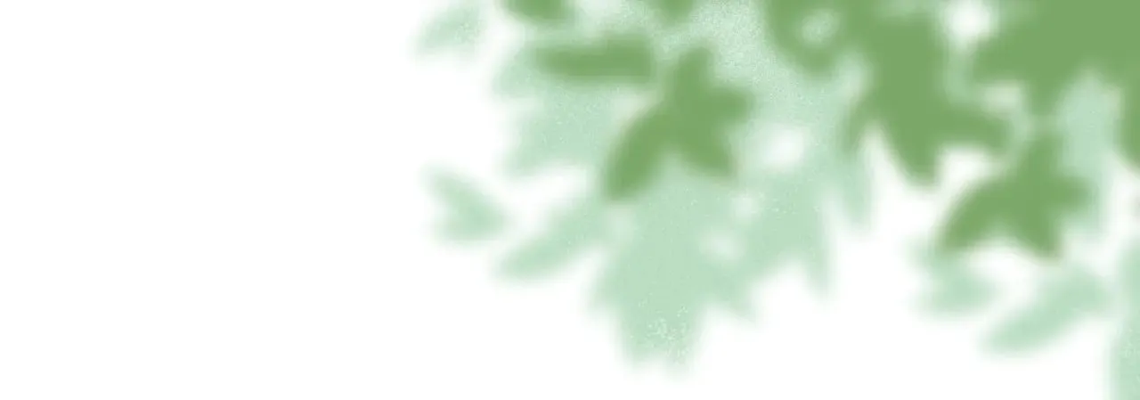 第十七话 “双向奔赴”33